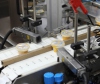 Технология производства плавленого сыра